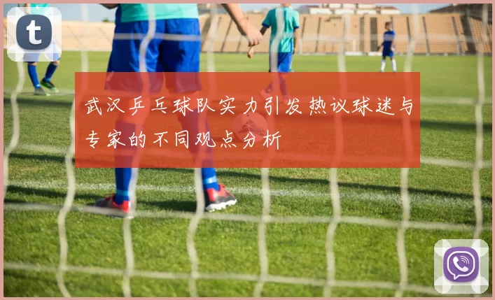 武汉乒乓球队实力引发热议球迷与专家的不同观点分析