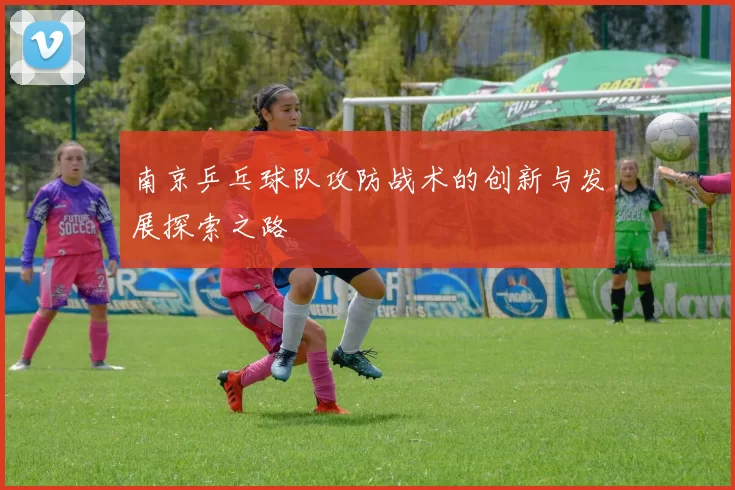 南京乒乓球队攻防战术的创新与发展探索之路