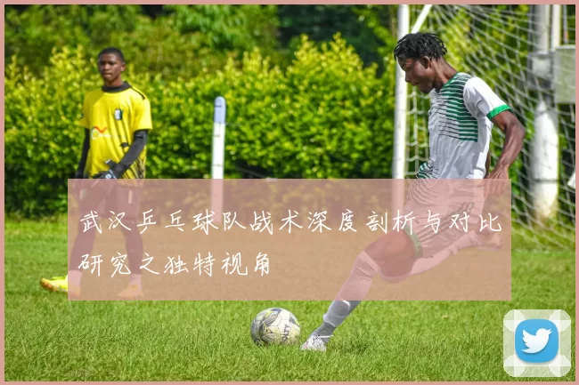 武汉乒乓球队战术深度剖析与对比研究之独特视角