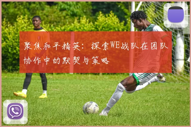 聚焦和平精英：探索WE战队在团队协作中的默契与策略