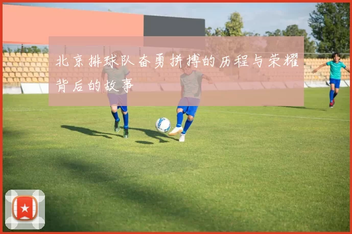 北京排球队奋勇拼搏的历程与荣耀背后的故事