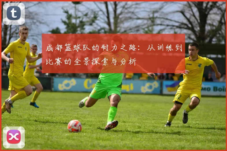 成都篮球队的耐力之路：从训练到比赛的全景探索与分析