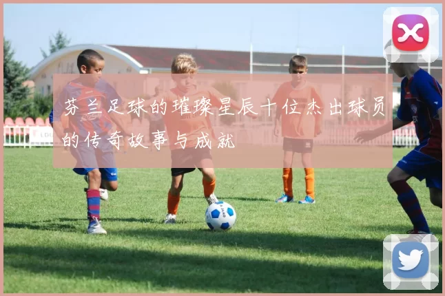 芬兰足球的璀璨星辰十位杰出球员的传奇故事与成就
