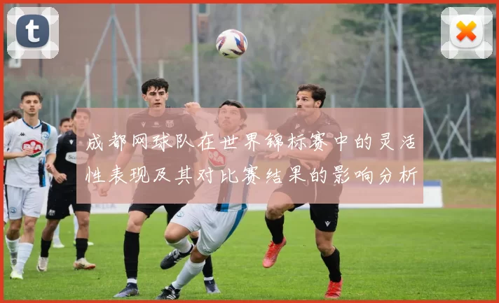 成都网球队在世界锦标赛中的灵活性表现及其对比赛结果的影响分析