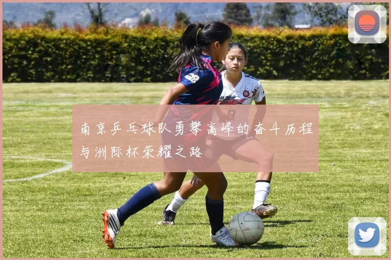 南京乒乓球队勇攀高峰的奋斗历程与洲际杯荣耀之路