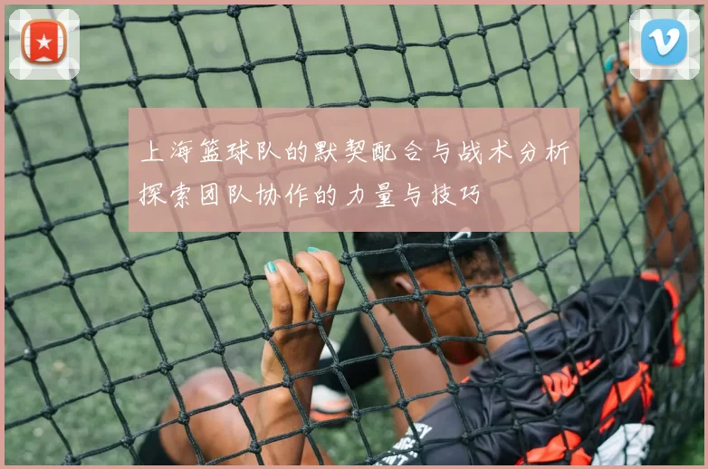 上海篮球队的默契配合与战术分析探索团队协作的力量与技巧