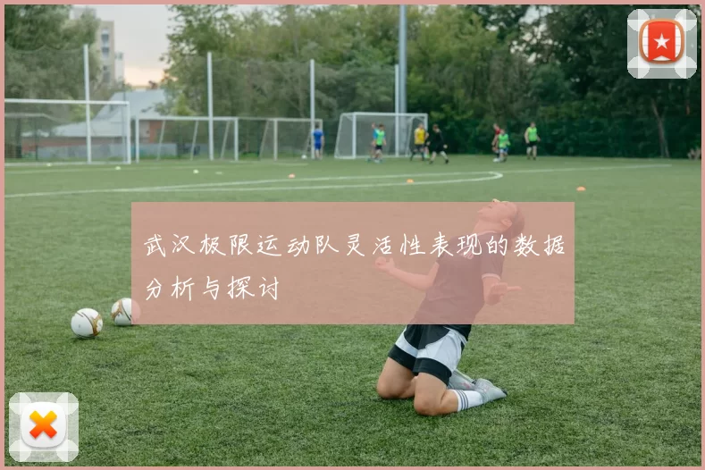 武汉极限运动队灵活性表现的数据分析与探讨